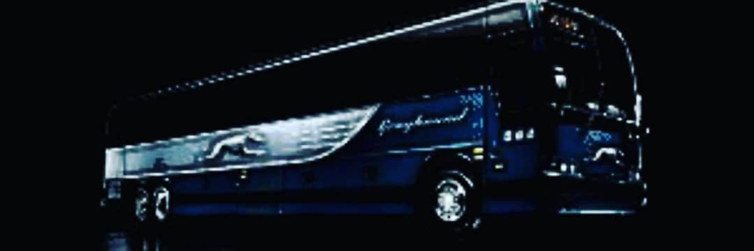 TheFightingFitzman (Seán Mac Giolla Ṗádraig) banner