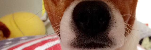 ManonRsml's profile banner image