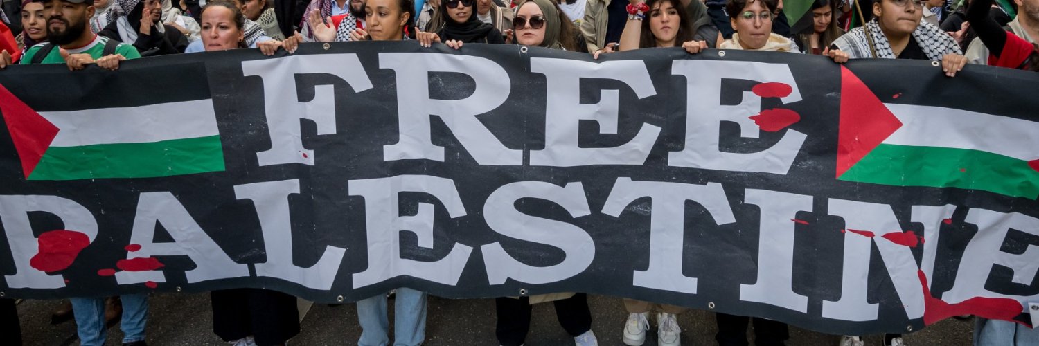 stephen-free palestine banner