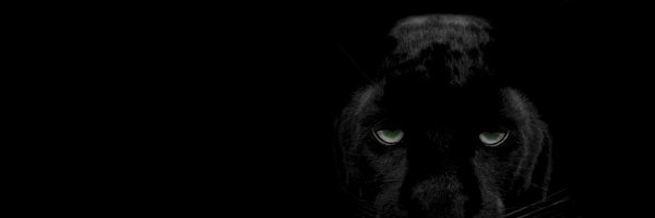 NullGhostArt Profile Banner