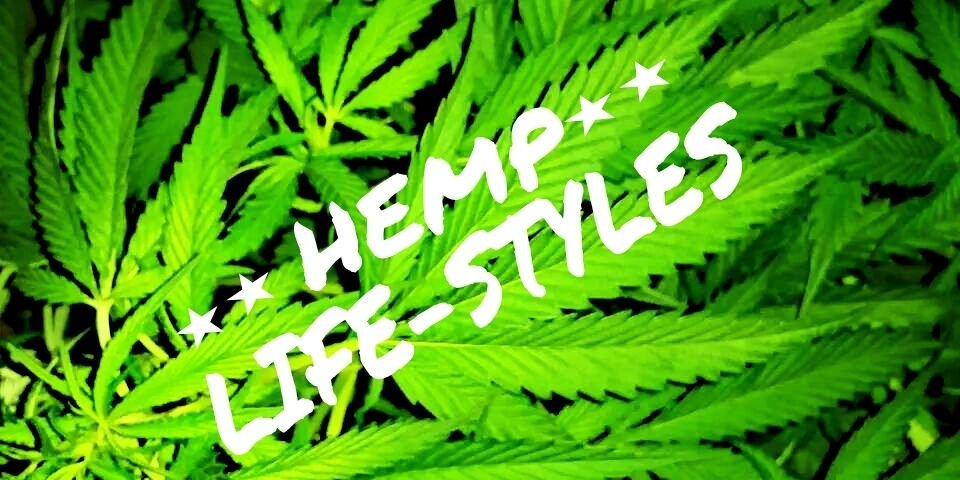 HempLifeStyles's profile banner image