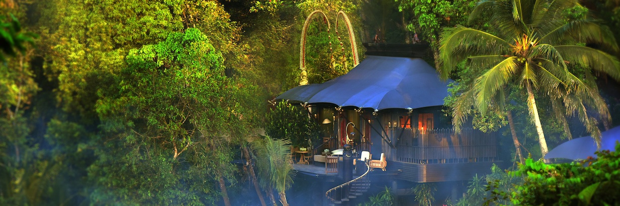 VIMVIGOURPR's profile banner image