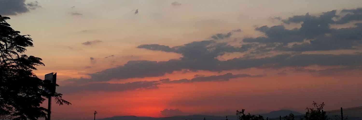 Taniatu_pg's profile banner image