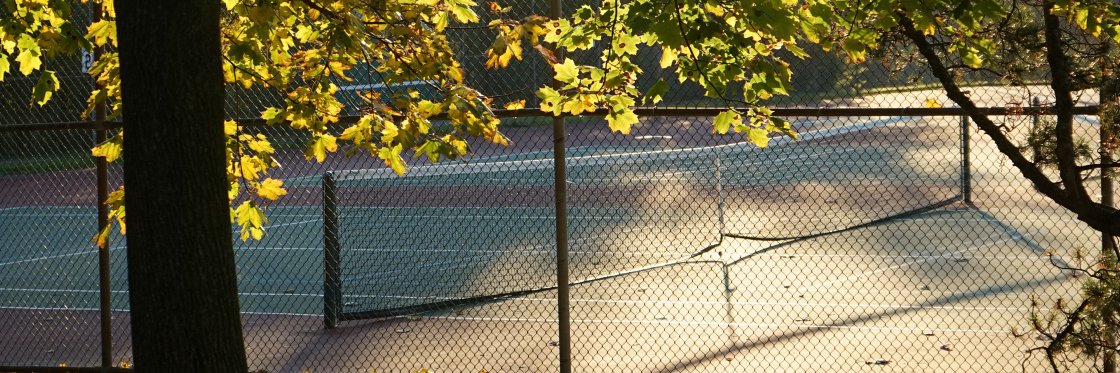 𝗜𝗻𝘁𝗲𝗿𝘀𝗽𝗼𝗿𝘁 𝗩𝗮𝗻 𝗗𝗮𝗺 banner