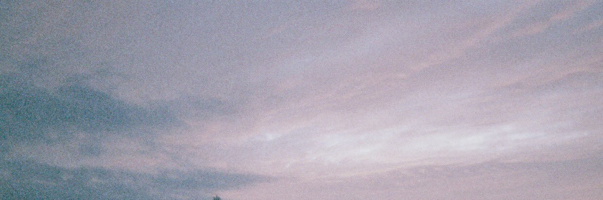 ヒラタナオヤ banner