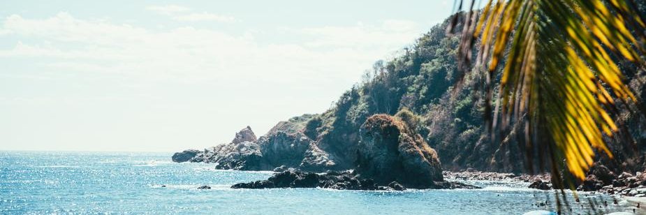 magmctavish's profile banner image