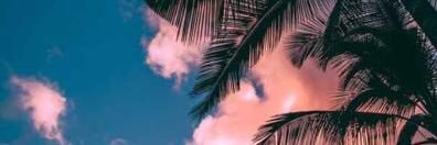 CrystalDNK's profile banner image