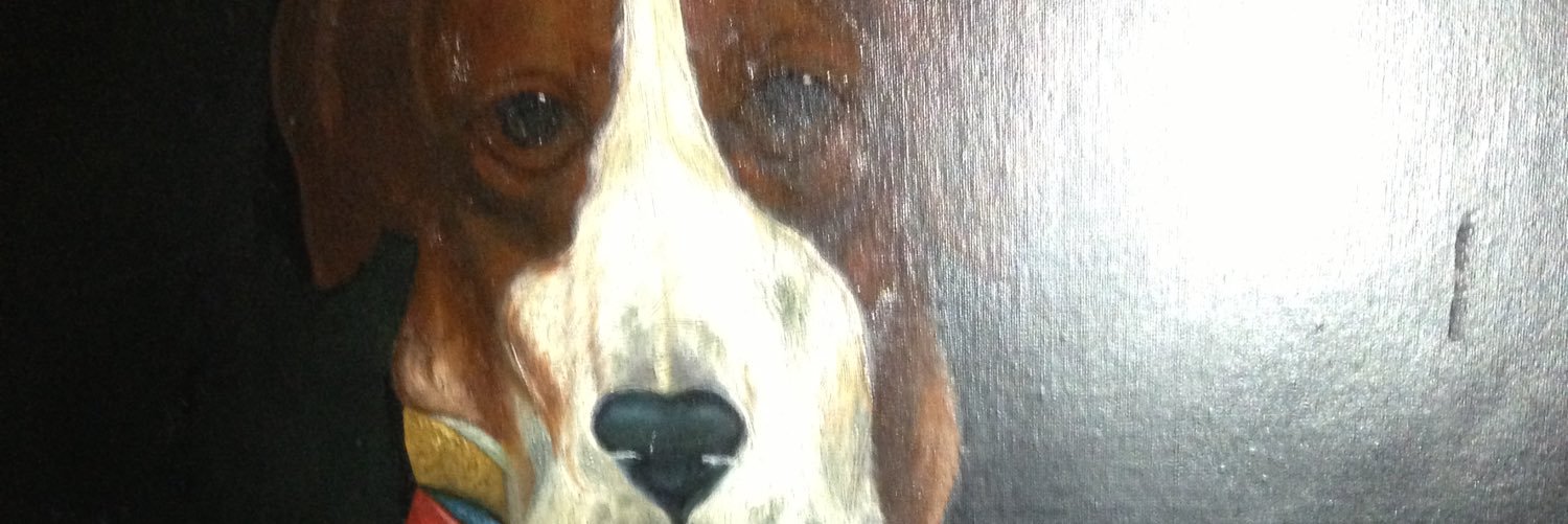 paulgrn7's profile banner image