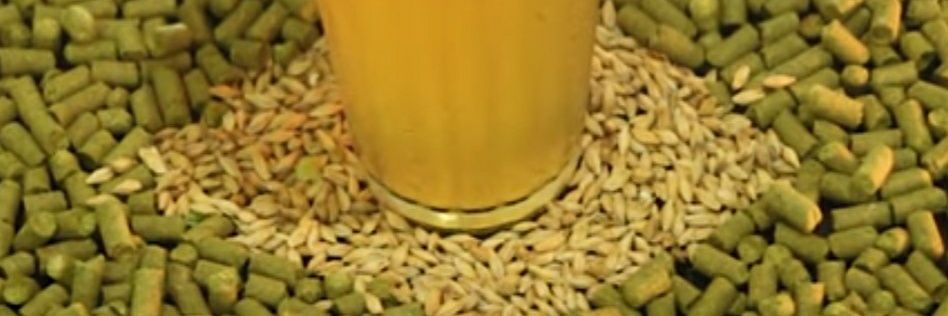 Essex-Lopresti banner