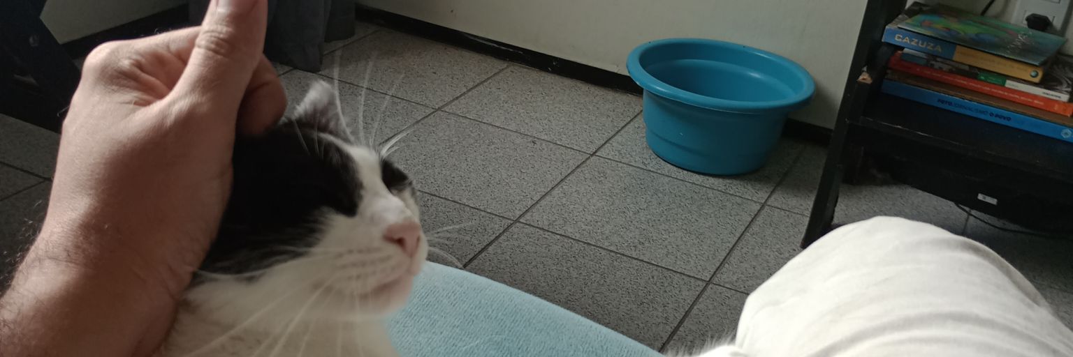fredbbtomaz's profile banner image