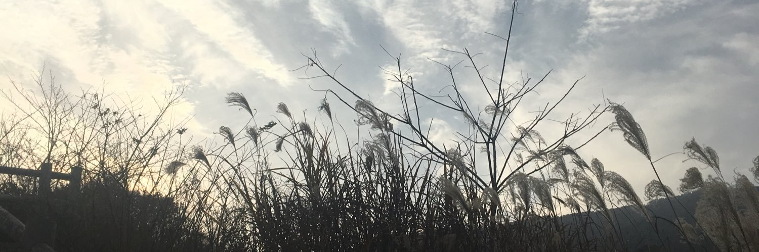MA0313's profile banner image