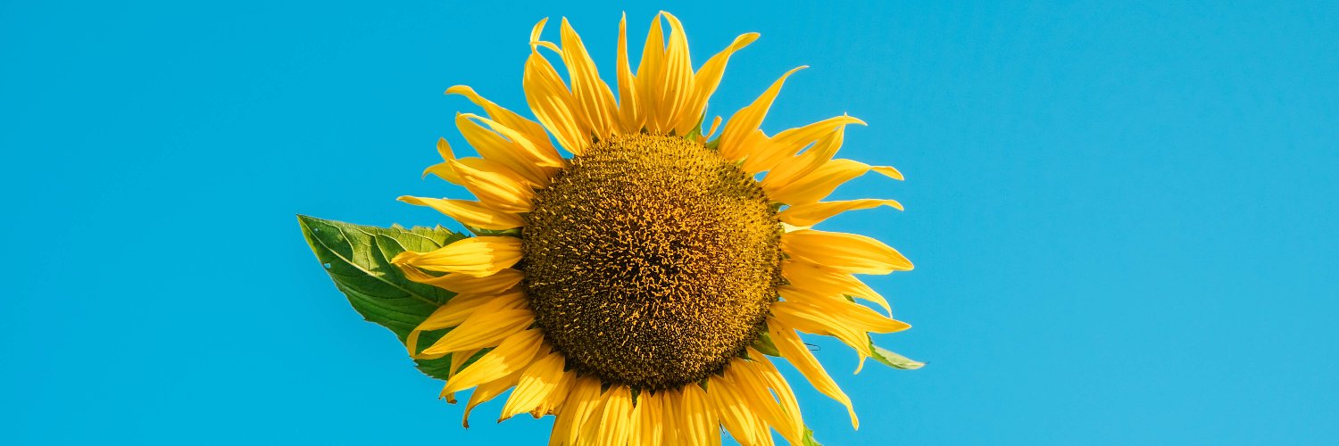 simmix1's profile banner image