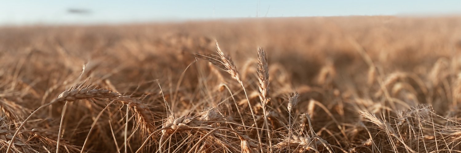 Beaver County banner