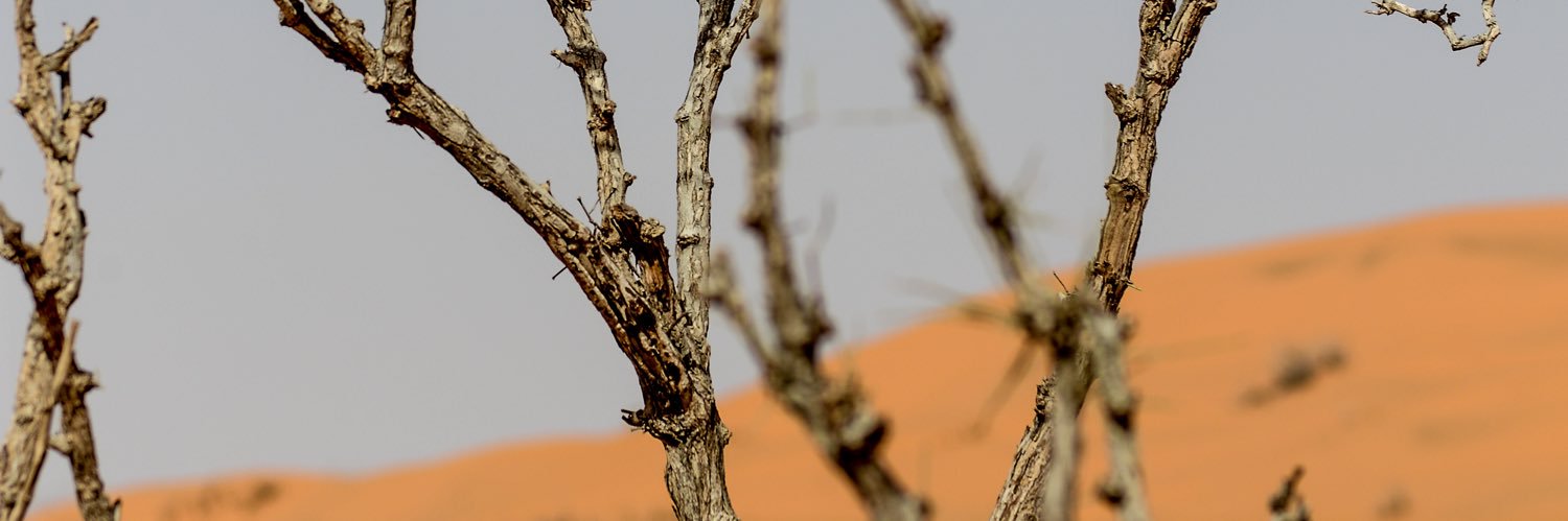 3omrany's profile banner image