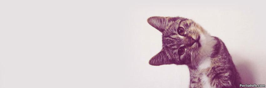 moisesdj1992's profile banner image
