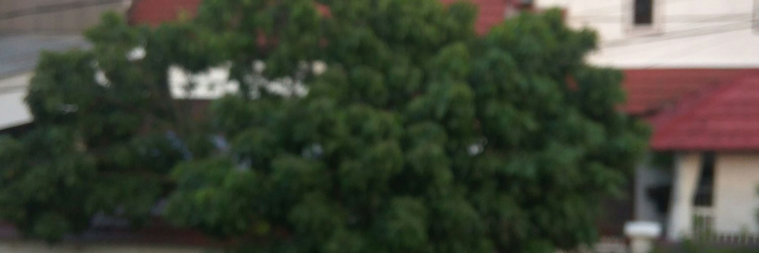 __yourasp__'s profile banner image