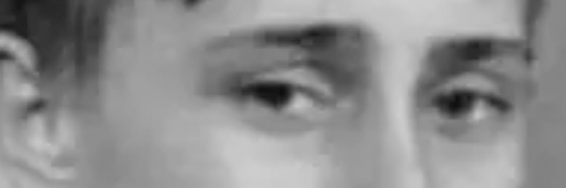 VCaillol's profile banner image