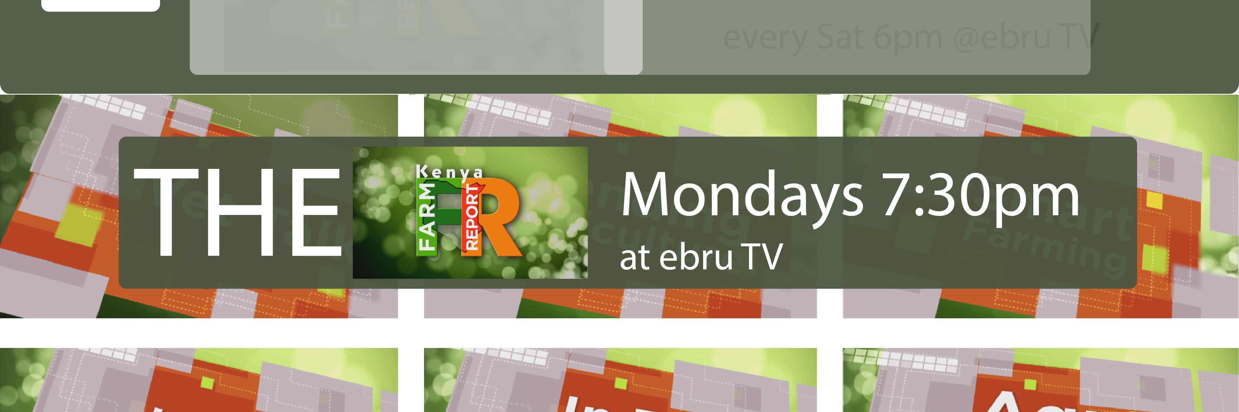 KENYA FARM REPORT banner