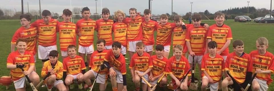 CastlebarMitchelsHC banner