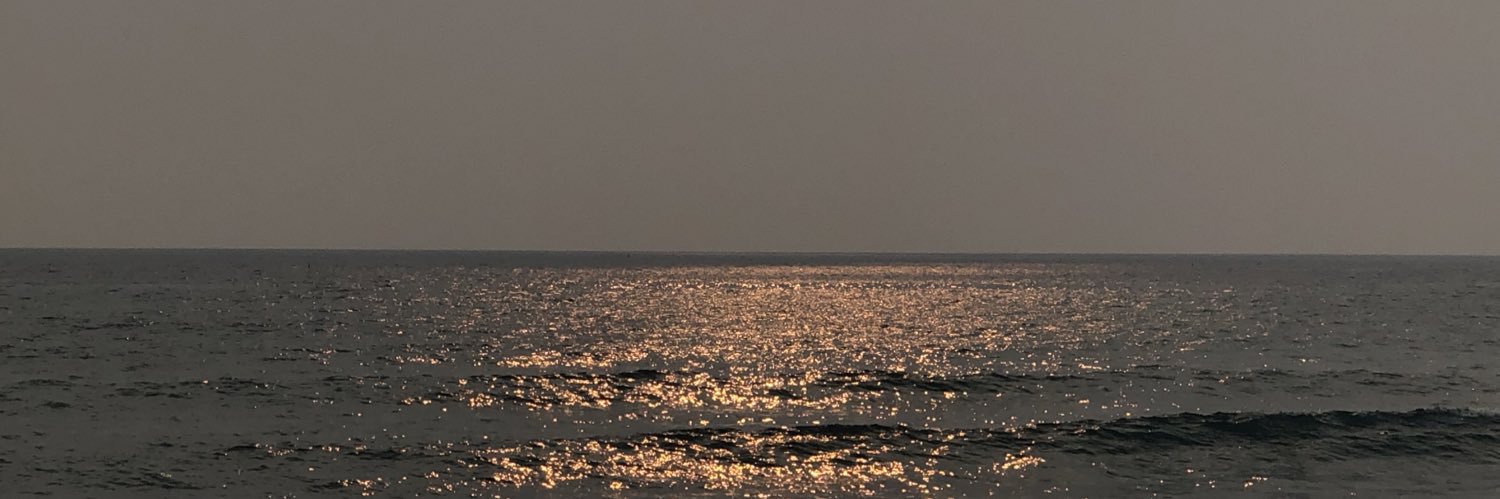 frbstrd's profile banner image