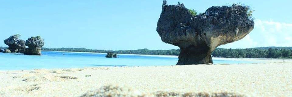 JacsonPoek's profile banner image