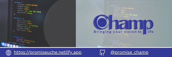 Promise_champ Profile Banner