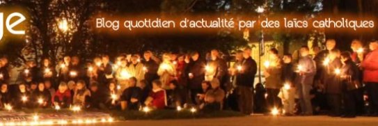 Michel Janva banner