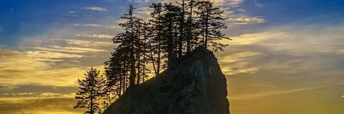 MollyClarke's profile banner image