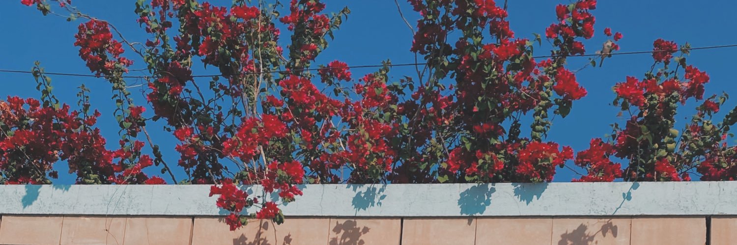 حياة banner