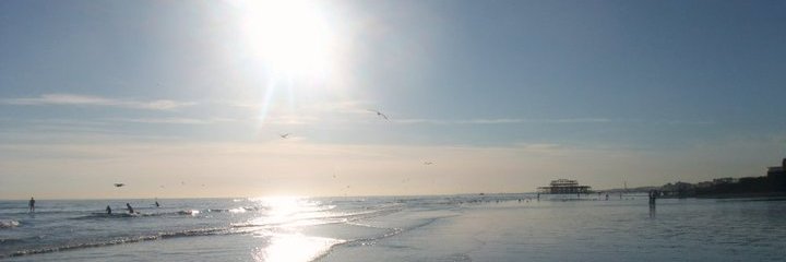 AmyJoSays's profile banner image