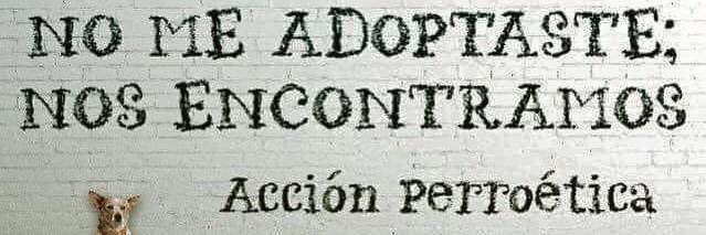 alpc10691's profile banner image