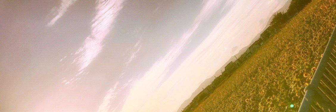 hina28__'s profile banner image