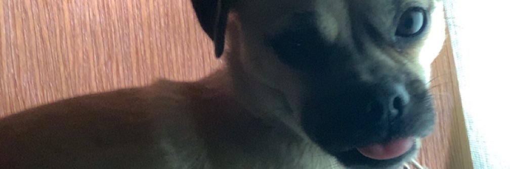 Linico_'s profile banner image