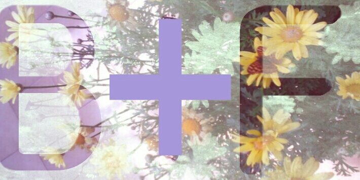 Debarbasyflores's profile banner image