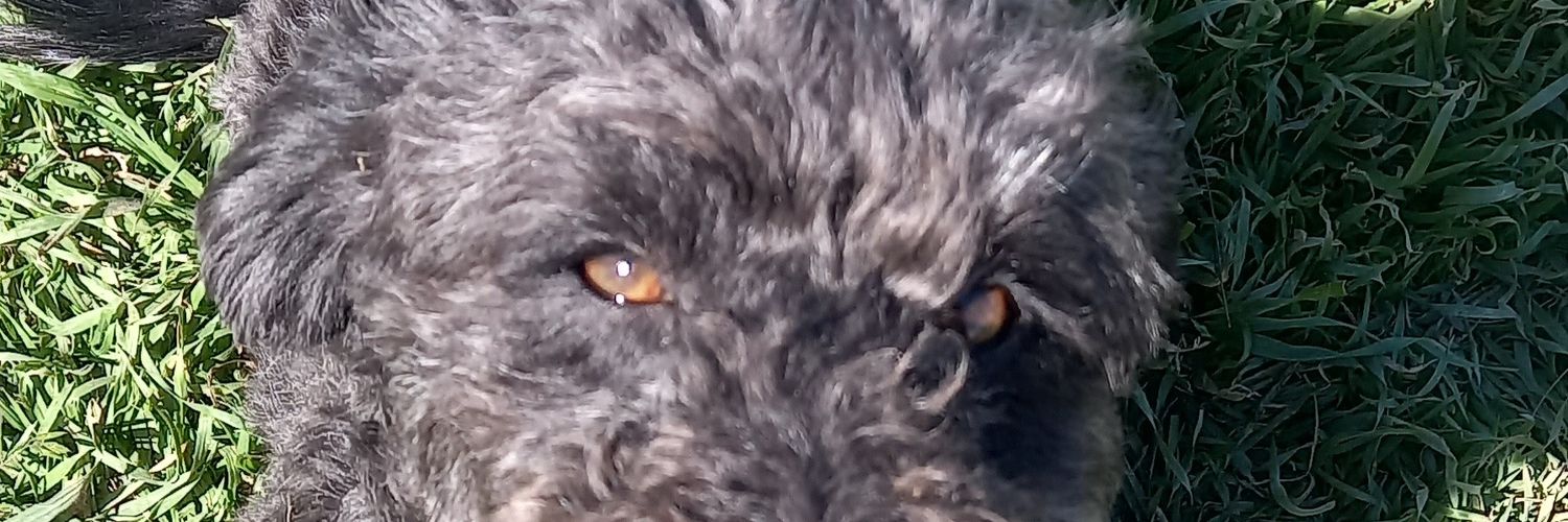 floponnce's profile banner image