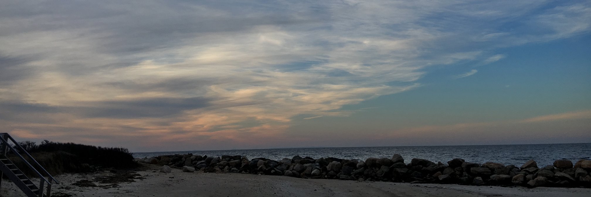 (((Michael Levine))) banner