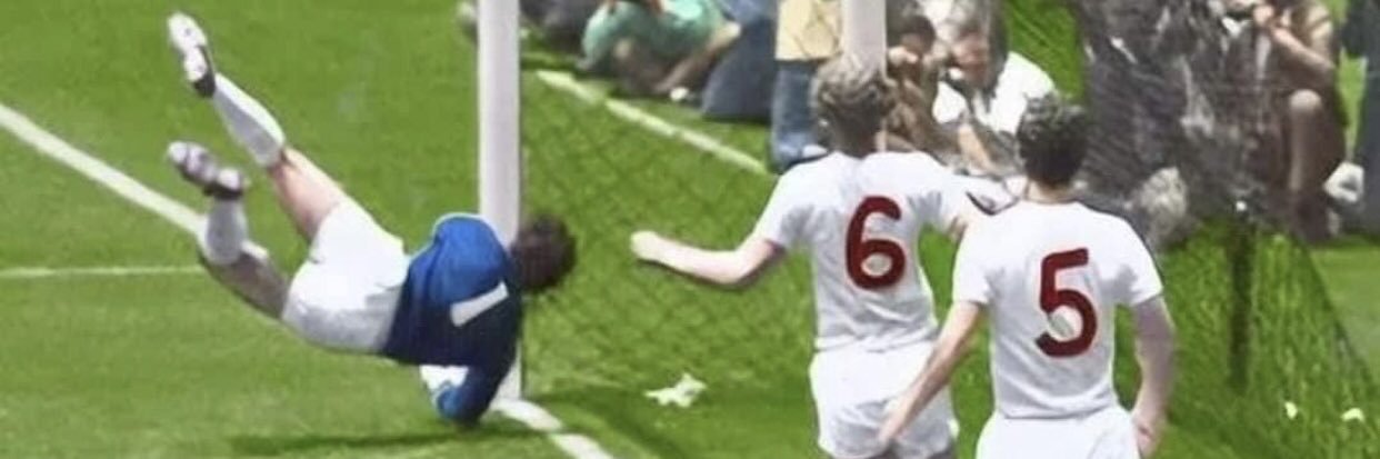 Michael Wolfe banner