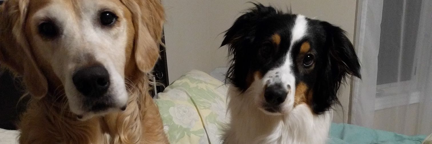 marljust_'s profile banner image