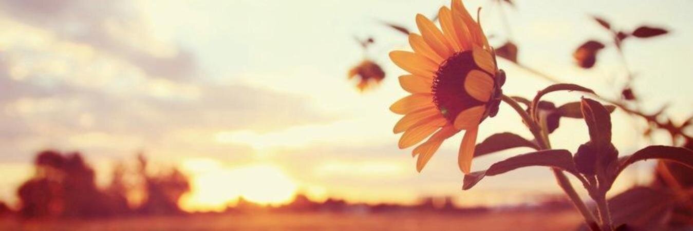 MaLaura_Arg's profile banner image