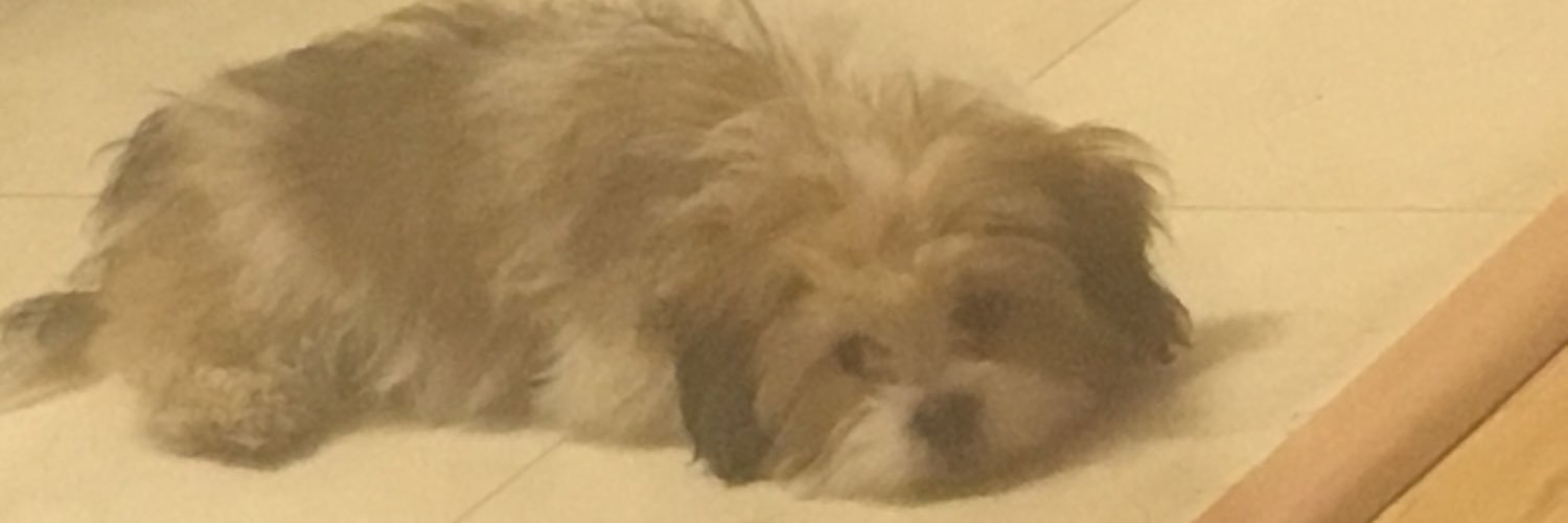 HelloAhmie's profile banner image