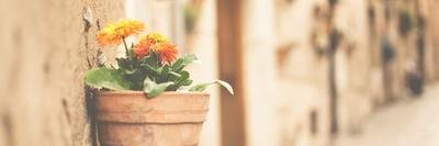 EINT_013's profile banner image
