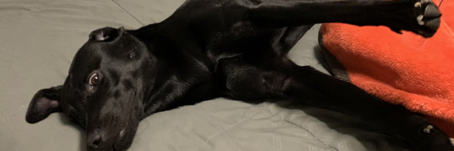 JMackn10's profile banner image