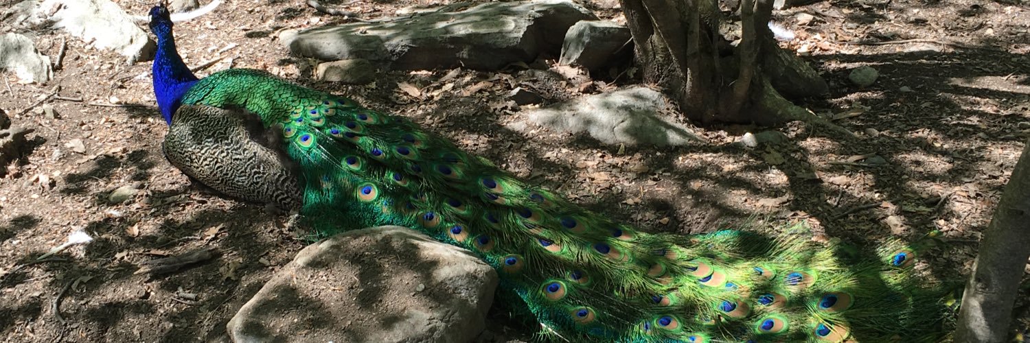 Alirk97's profile banner image