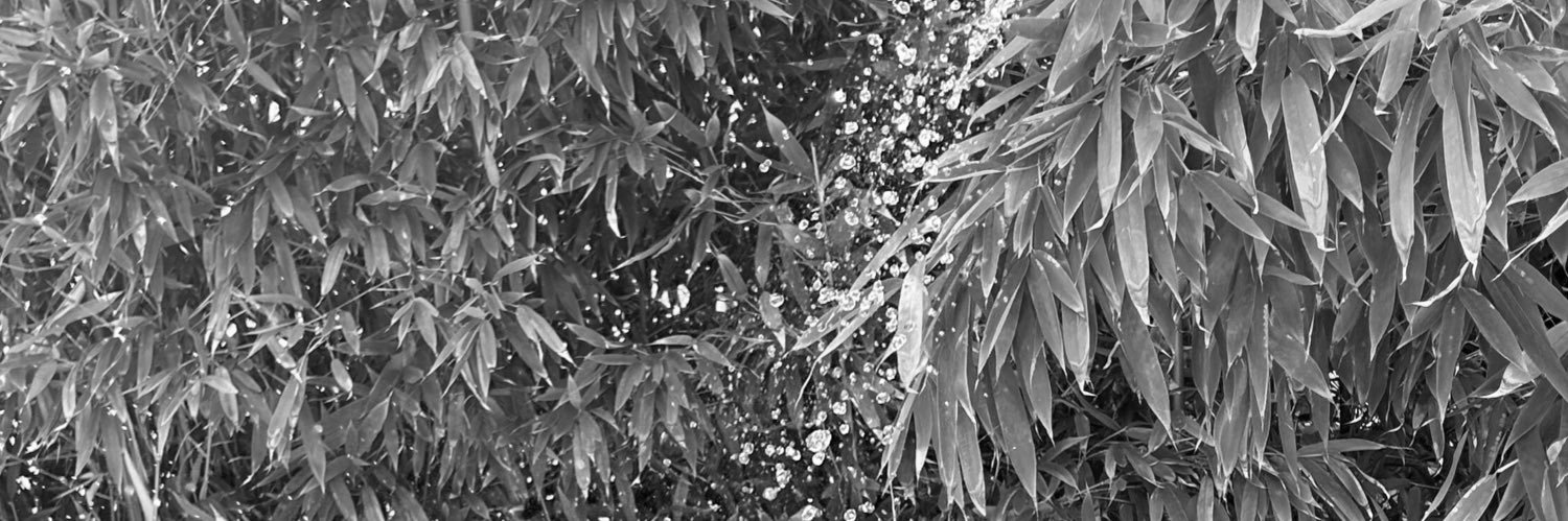 connasse • mince banner