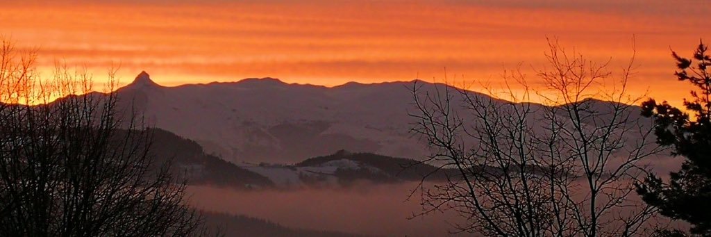 PediatrZumaraga's profile banner image
