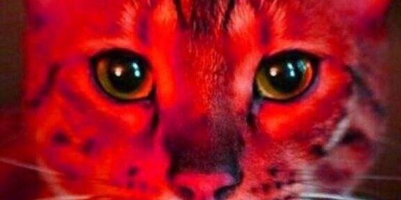jackdatow2335's profile banner image