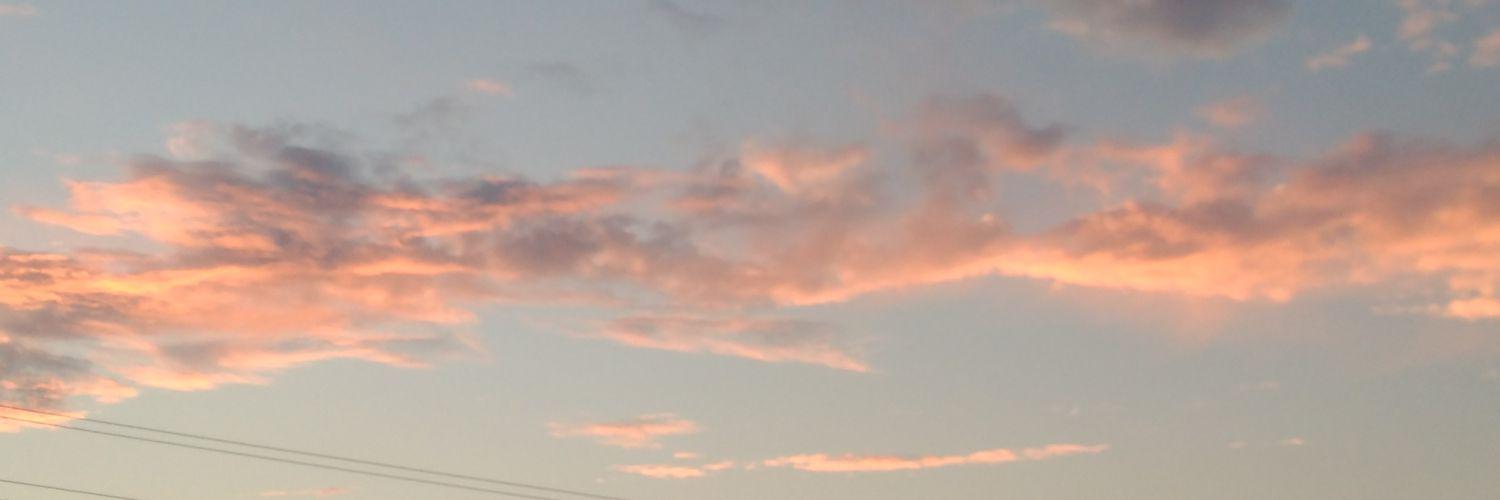 ilalsahin's profile banner image