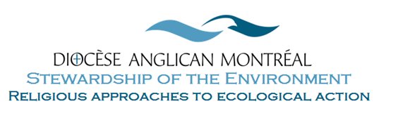 ecoanglicans's profile banner image