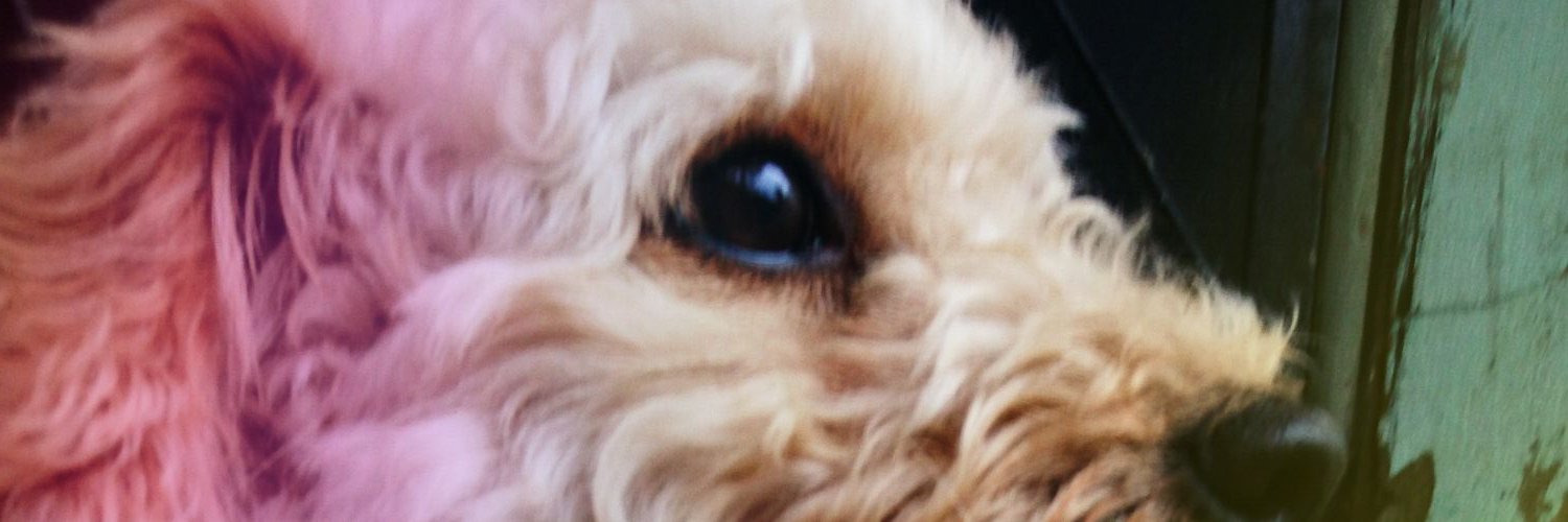 Belkate13's profile banner image