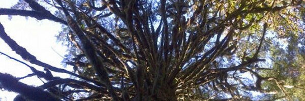 Ruth_ios Profile Banner